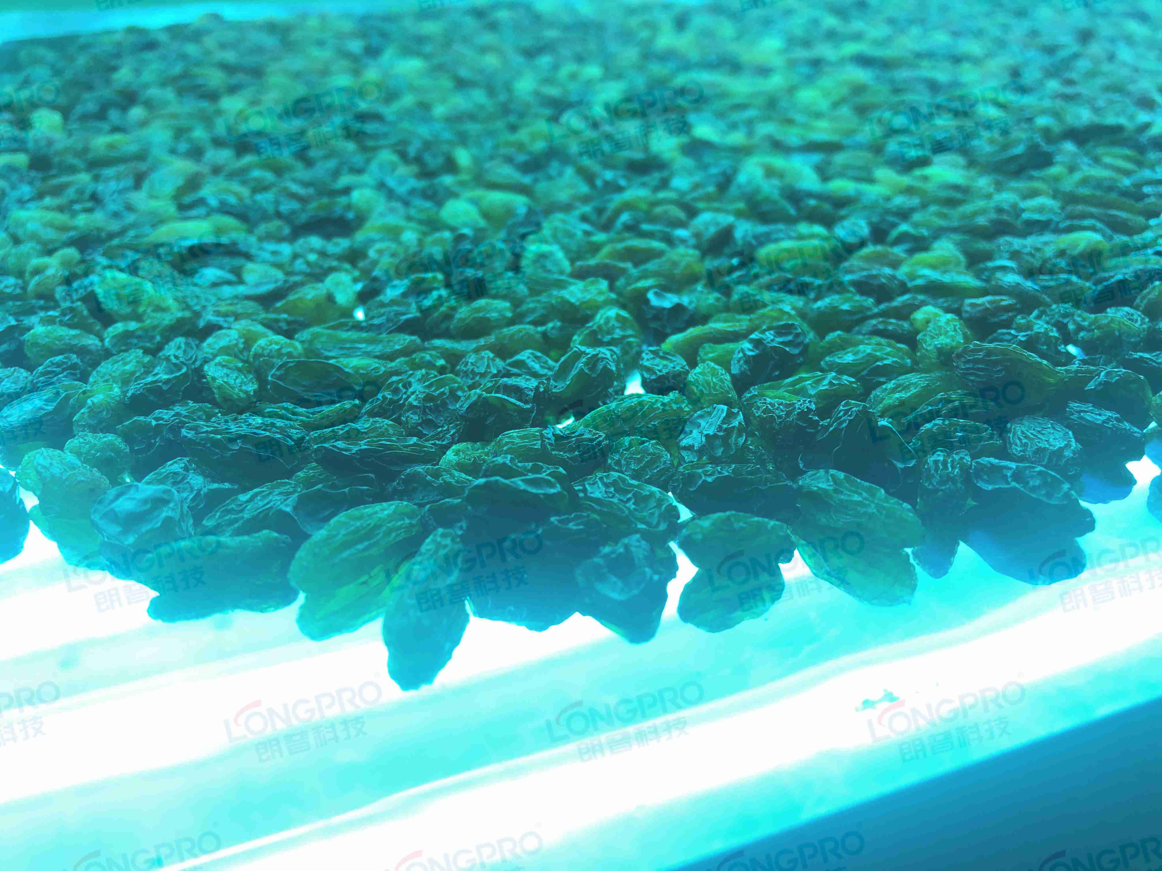 食品細(xì)菌超標(biāo)怎么解決？utf-8