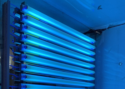 如何通過UV紫外光照實(shí)驗(yàn)箱構(gòu)建動(dòng)物皮膚光老化模型？