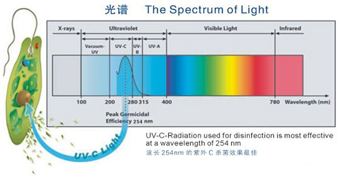 科普！紫外線殺菌燈對(duì)人體影響及正確使用方法