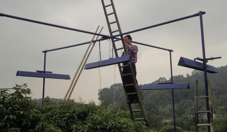 桂味荔枝增溫模擬實(shí)驗(yàn).jpg 桂味荔枝增溫模擬實(shí)驗(yàn).jpg